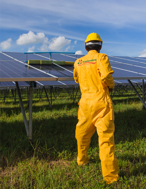 parquessolares ecosiembra