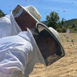 circulo genteabejas e1759312789196